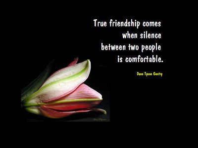 friendship quotes with flowers. 2011 quotes for friendship and
